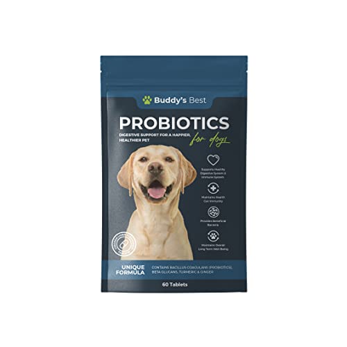 Probiotics For Dogs | Supports Healthy Digestive & Immune System | Unique Formula Contains Beta Glucans, Turmeric & Ginger