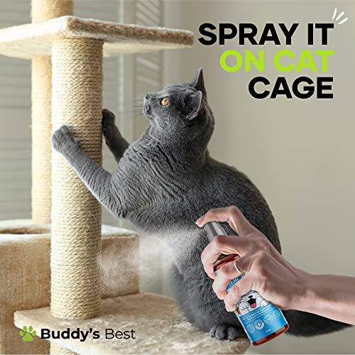 BUDDY'S BEST Catnip Spray | Oil Distilled From Catnip | Sparks a burst of energetic fun followed by calm bliss | 100ml