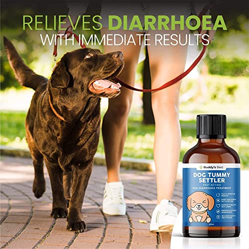 Tummy Relief for Dogs | Fast Acting Dog Diarrhoea Treatment 250ml