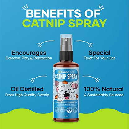 BUDDY'S BEST Catnip Spray | Oil Distilled From Catnip | Sparks a burst of energetic fun followed by calm bliss | 100ml