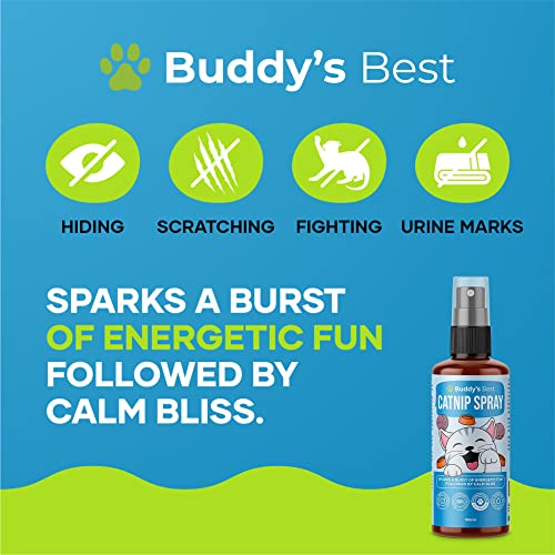 BUDDY'S BEST Catnip Spray | Oil Distilled From Catnip | Sparks a burst of energetic fun followed by calm bliss | 100ml