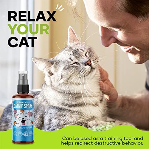 BUDDY'S BEST Catnip Spray | Oil Distilled From Catnip | Sparks a burst of energetic fun followed by calm bliss | 100ml