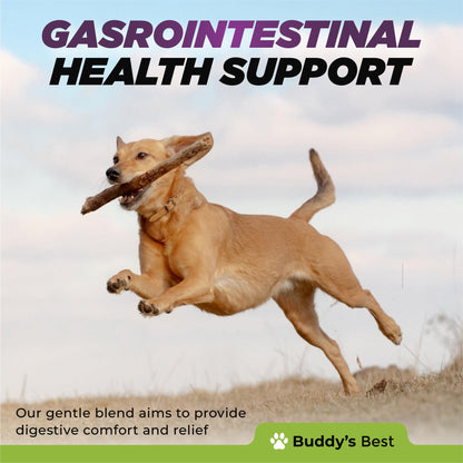 Digestive Aid for Dogs | Soothing & Anti-Inflammatory Blend with Dandelion, Slippery Elm & Marshmallow Root for Optimal Gastrointestinal Health