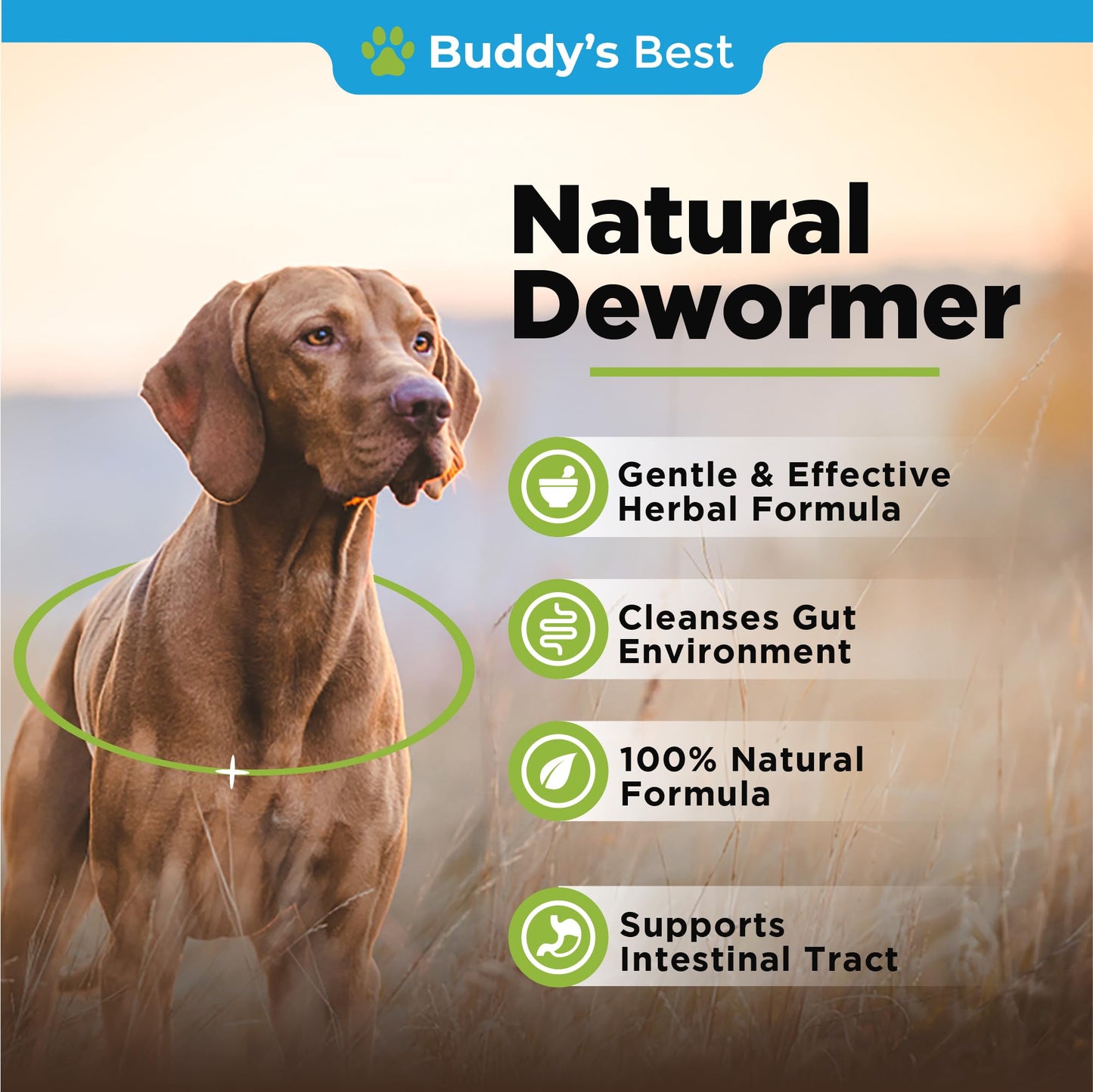 BUDDY'S BEST Natural Dewormer For Dogs & Cats | Intestinal Tract Support Formula