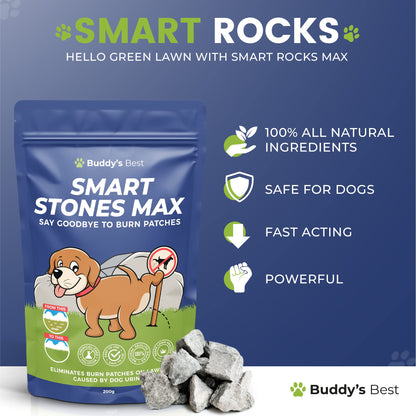 Smart Rocks Max | Urine Neutrialiser Rocks To Stop Grass Burn Patches | 200g