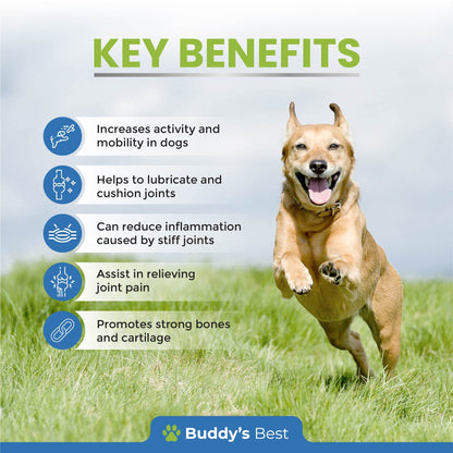 Buddy's Best Dog Joint Aid & Relief Plus | 50ml | Relieves Joint Pain in Dogs | Fast Acting Formula | Natural Ingredients | Made in the UK