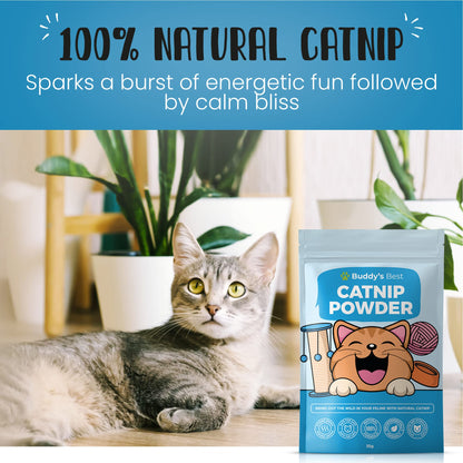 BUDDY'S BEST Catnip | 100% Natural, Organic & Air Dried | Strong & Pungent Aroma Encourages Exercise & Play | 35g