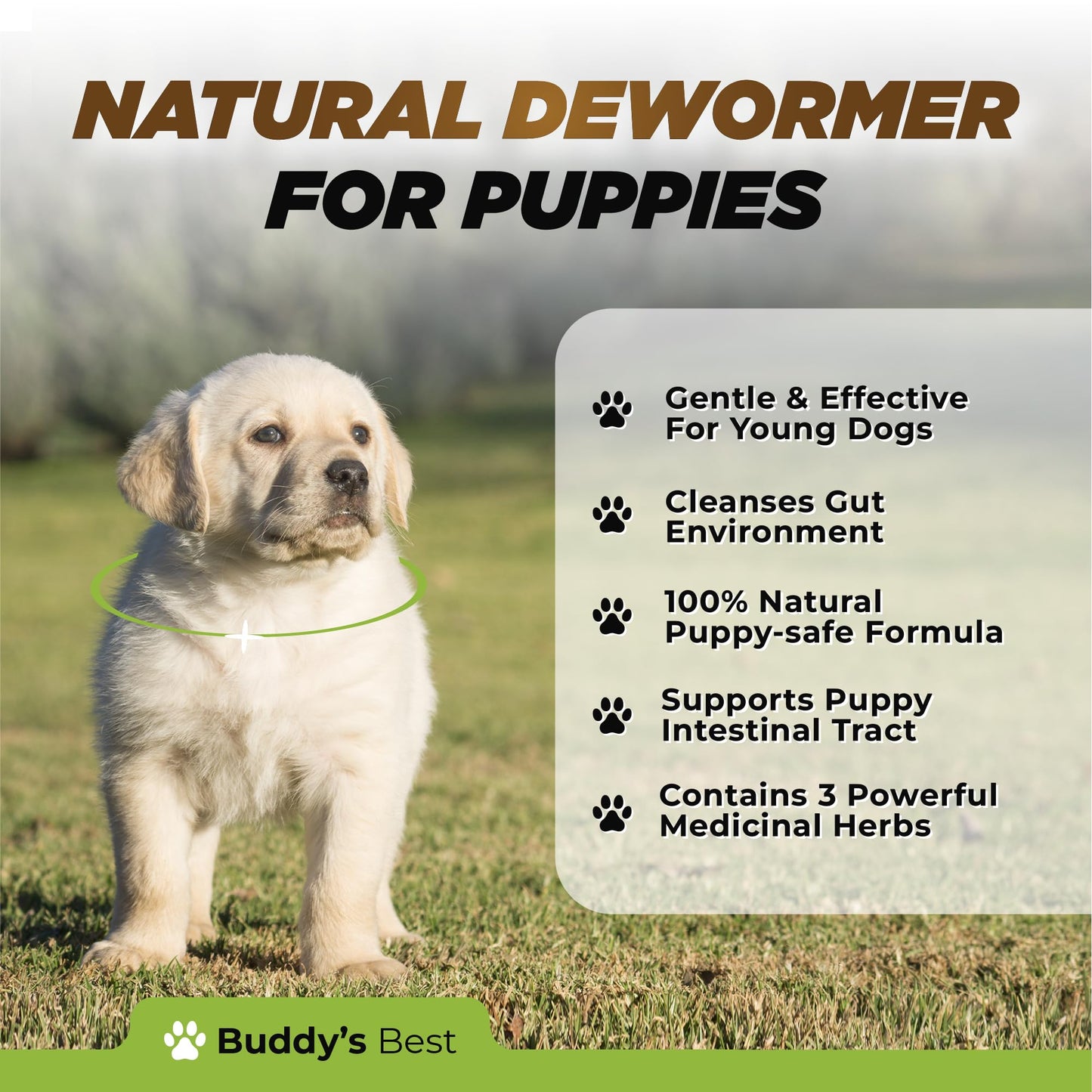 Natural Dewormer For Puppies