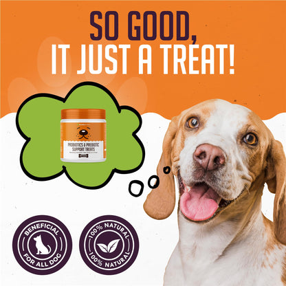 BUDDY'S BEST Probiotics & Prebiotic Support Treats For Dogs | Digestive Remedy | 60 Chewable Treats