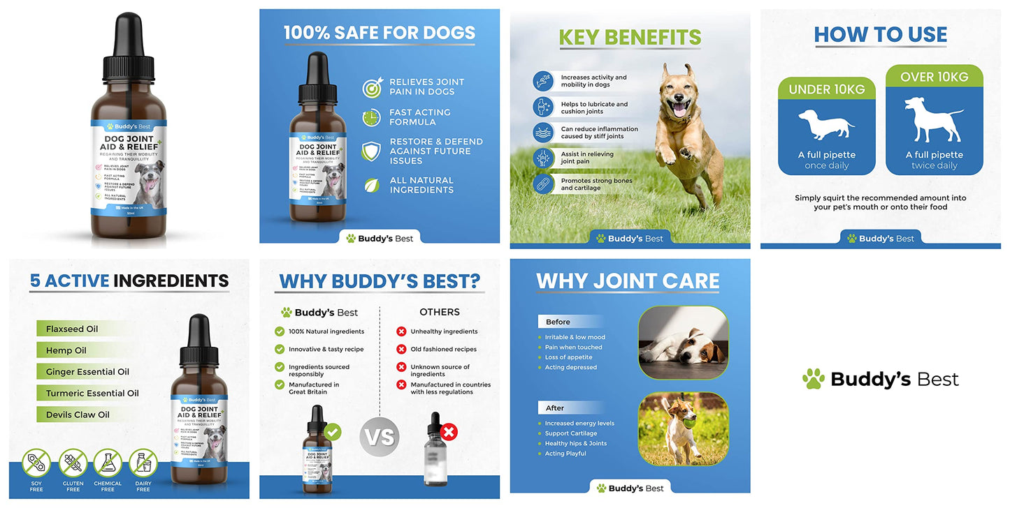 Buddy's Best Dog Joint Aid & Relief Plus | 50ml | Relieves Joint Pain in Dogs | Fast Acting Formula | Natural Ingredients | Made in the UK