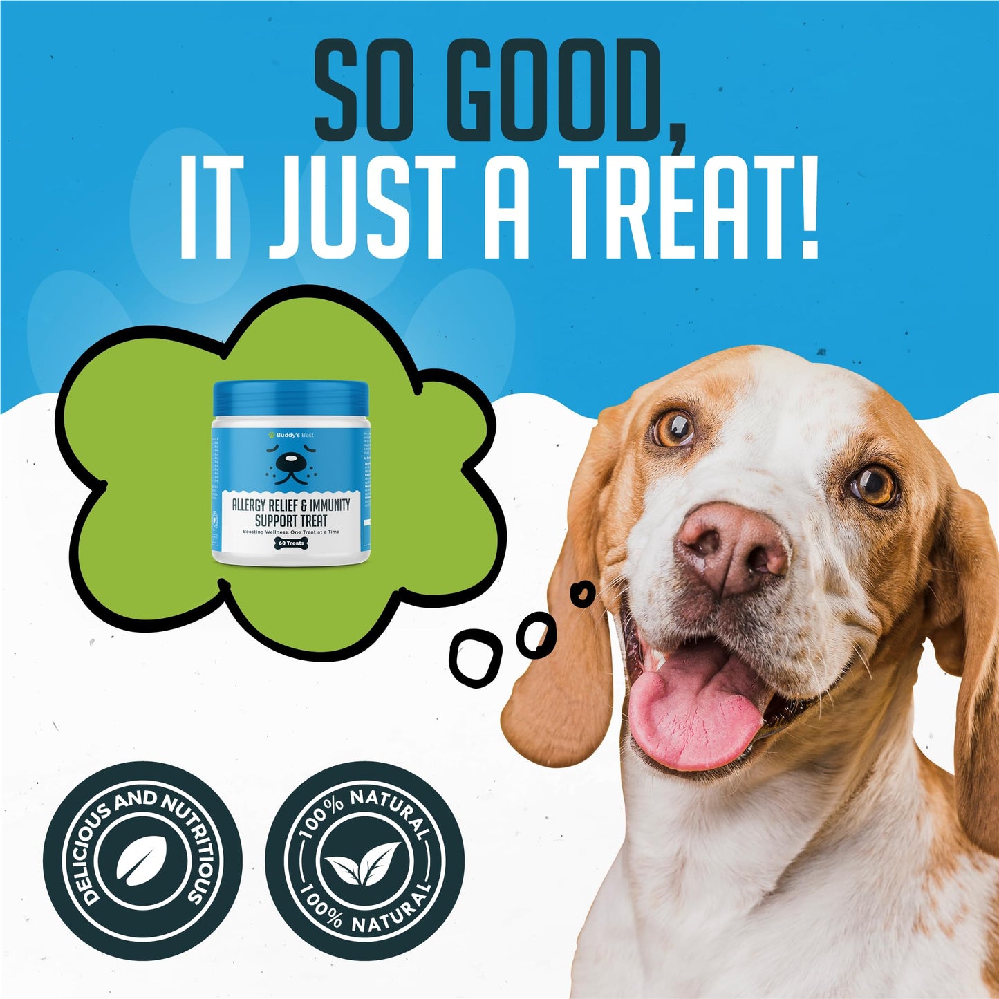 BUDDY'S BEST Allergy Relief & Immunity Support Treat For Dogs | 60 Chewable Treats