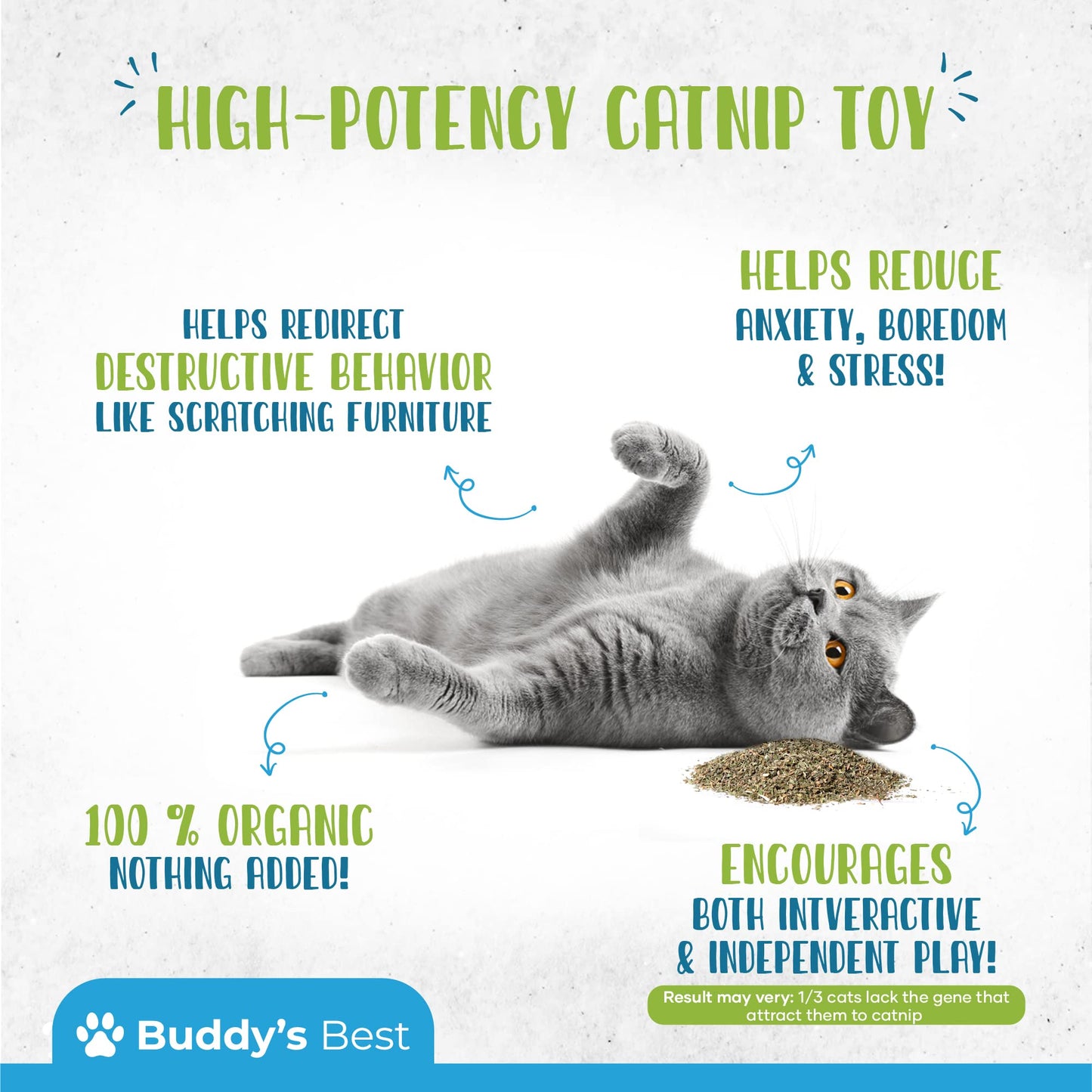 BUDDY'S BEST Catnip | 100% Natural, Organic & Air Dried | Strong & Pungent Aroma Encourages Exercise & Play | 35g