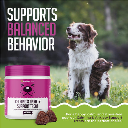 BUDDY'S BEST Calming & Anxiety Support Treats For Dogs | 60 Chewable Treats