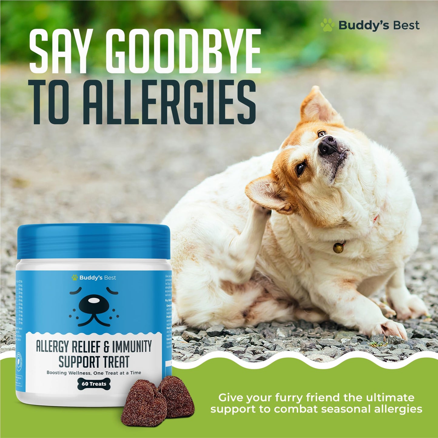 BUDDY'S BEST Allergy Relief & Immunity Support Treat For Dogs | 60 Chewable Treats