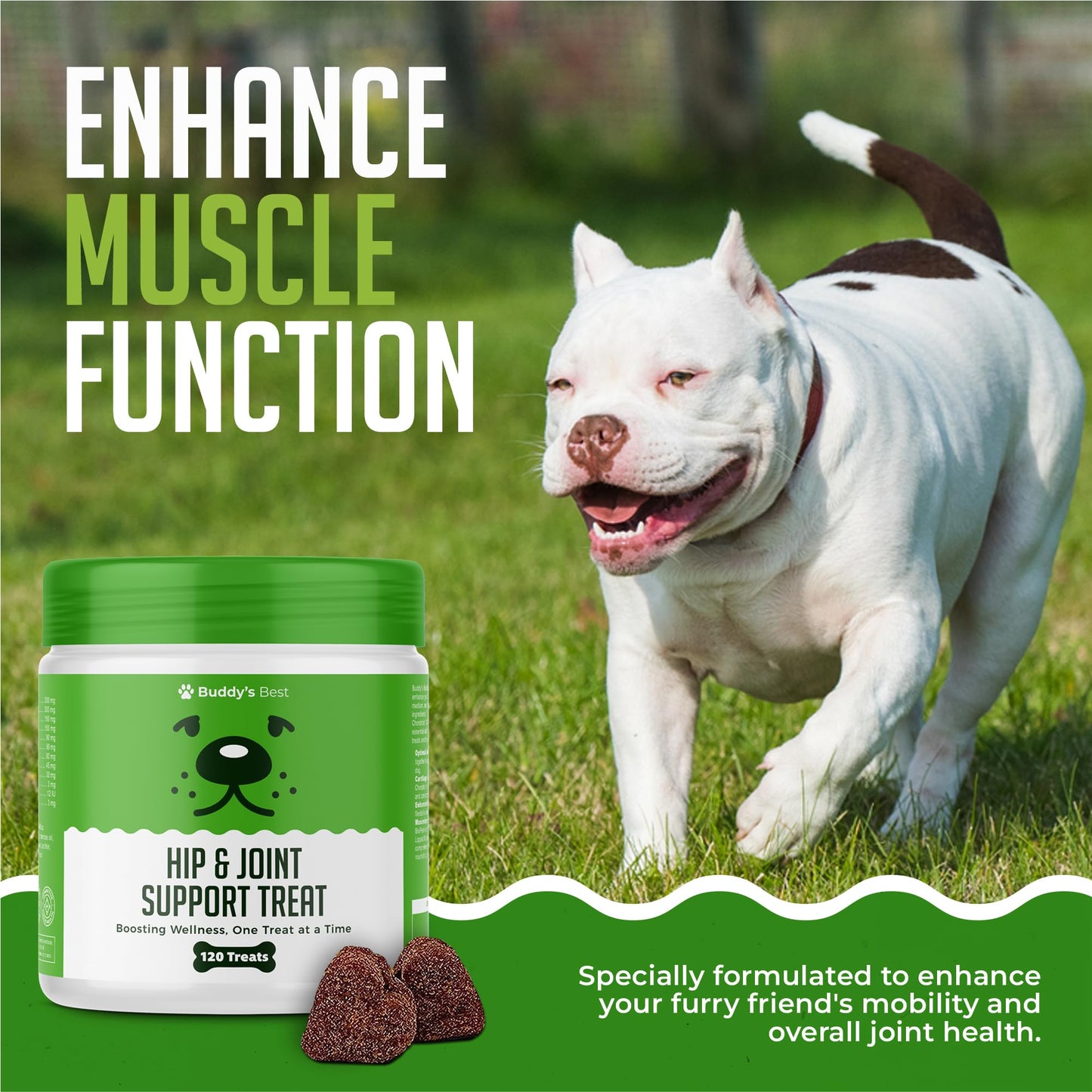 BUDDY'S BEST Hip & Joint Support Treats For Dogs | 60 Chewable Treats