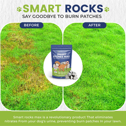 Smart Rocks Max | Urine Neutrialiser Rocks To Stop Grass Burn Patches | 200g